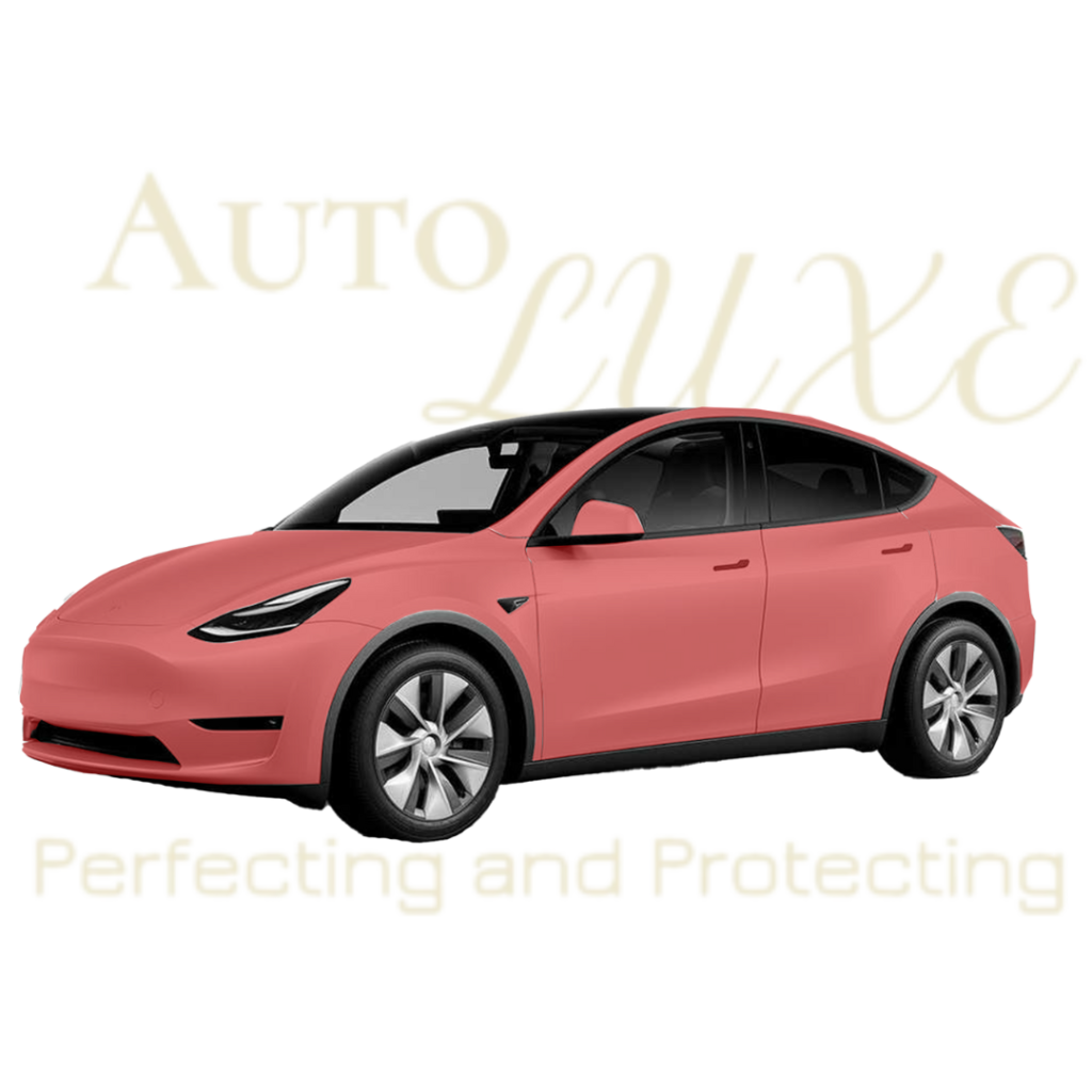 Vehicle diagram showing every painted panel wrapped in paint protection film